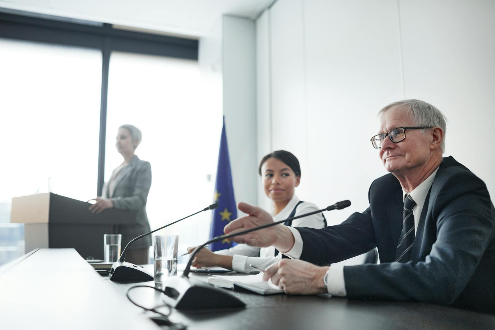 Federal panel discussion at agency-style hearing